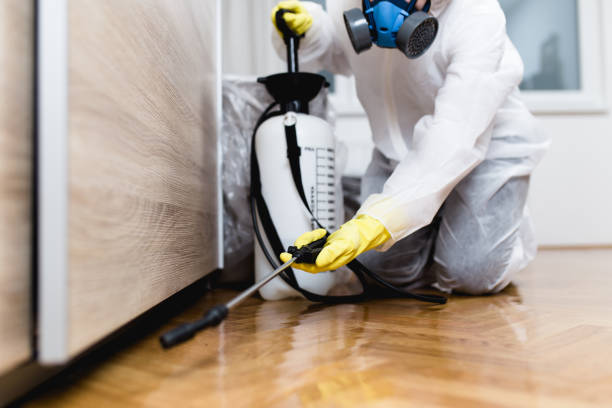 Best Pest Prevention Services  in Ridgewood, IL