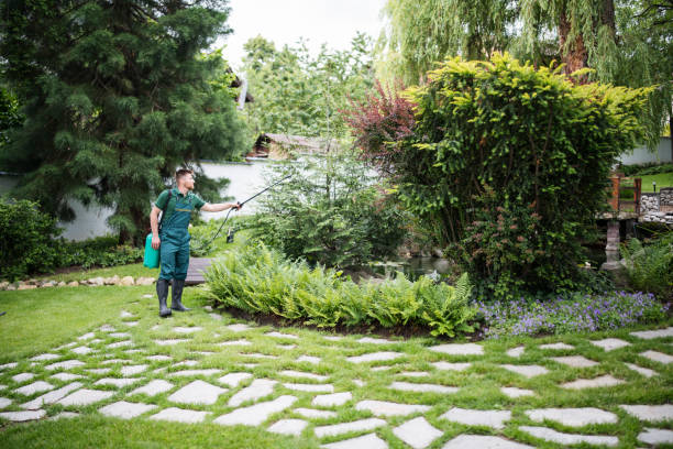 Best Rodent Control Near Me  in Ridgewood, IL