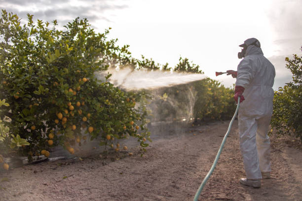 Best Flea Control Services  in Ridgewood, IL