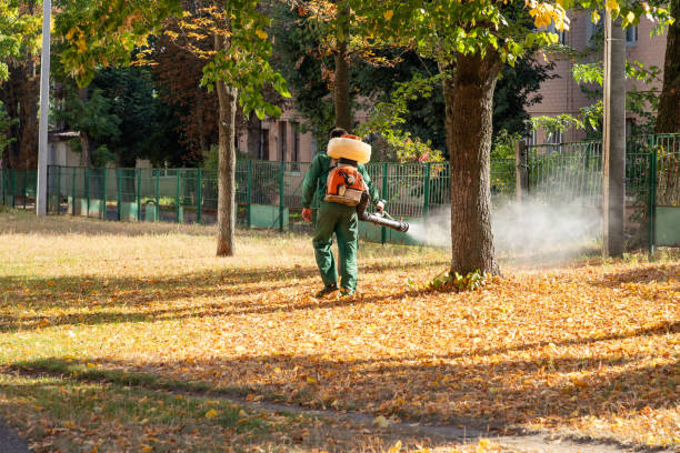 Best Rat Extermination Near Me  in Ridgewood, IL