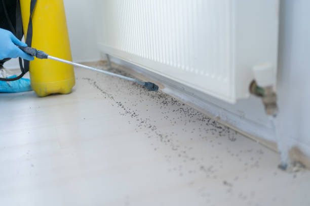 Pest Control for Restaurants in Ridgewood, IL