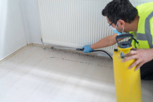 Best Pest Control Near Me  in Ridgewood, IL
