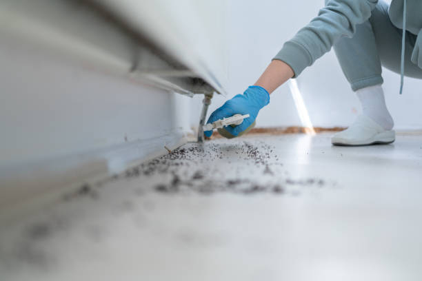 Best Pest Control Near Me  in Ridgewood, IL