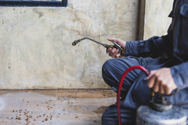 Best Best Pest Control Companies  in Ridgewood, IL
